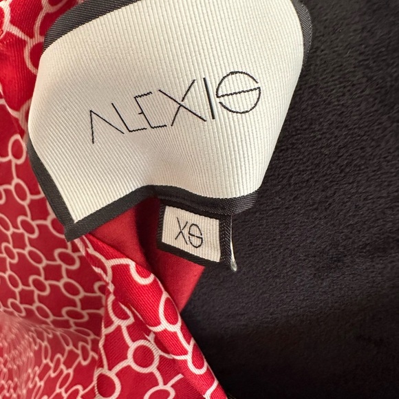 Alexis Red Patterned Dress - Picture 10 of 13